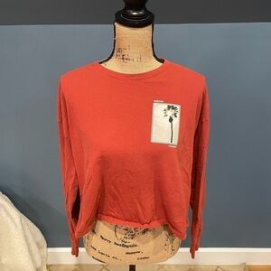 Hollister long sleeve crop top